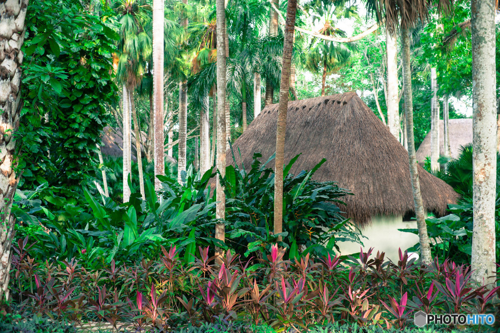 Chichen Itza 20
