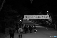 夜の神宮