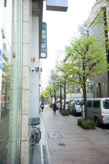 並木通り