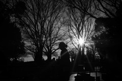 夕暮れの公園