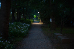 日比谷公園外周