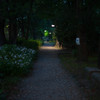 日比谷公園外周