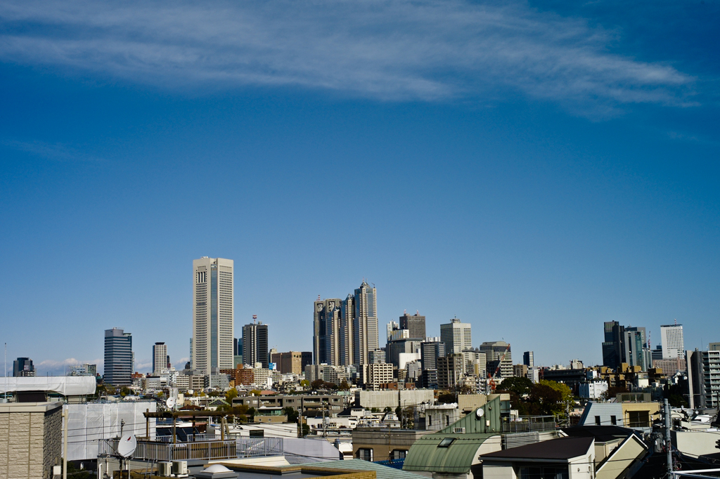 新宿副都心