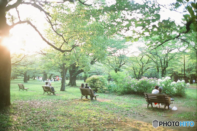 公園のベンチ