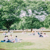 park