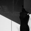 torso