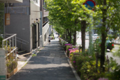 新緑