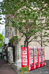 自販機