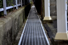 猫の道