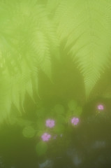 霧の中