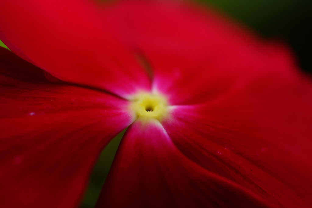 深紅