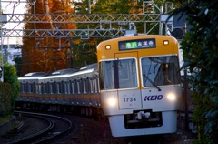 晩秋の井の頭線