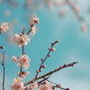2月
