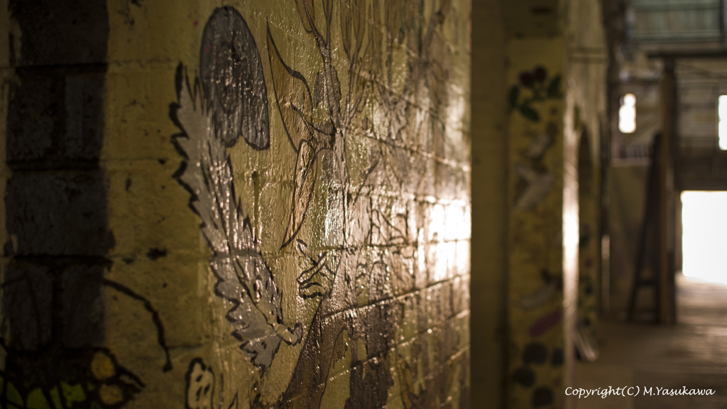 In Kockatoo Island, Australia