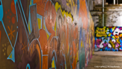 In Kockatoo Island, Australia