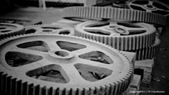 In Kockatoo Island, Australia