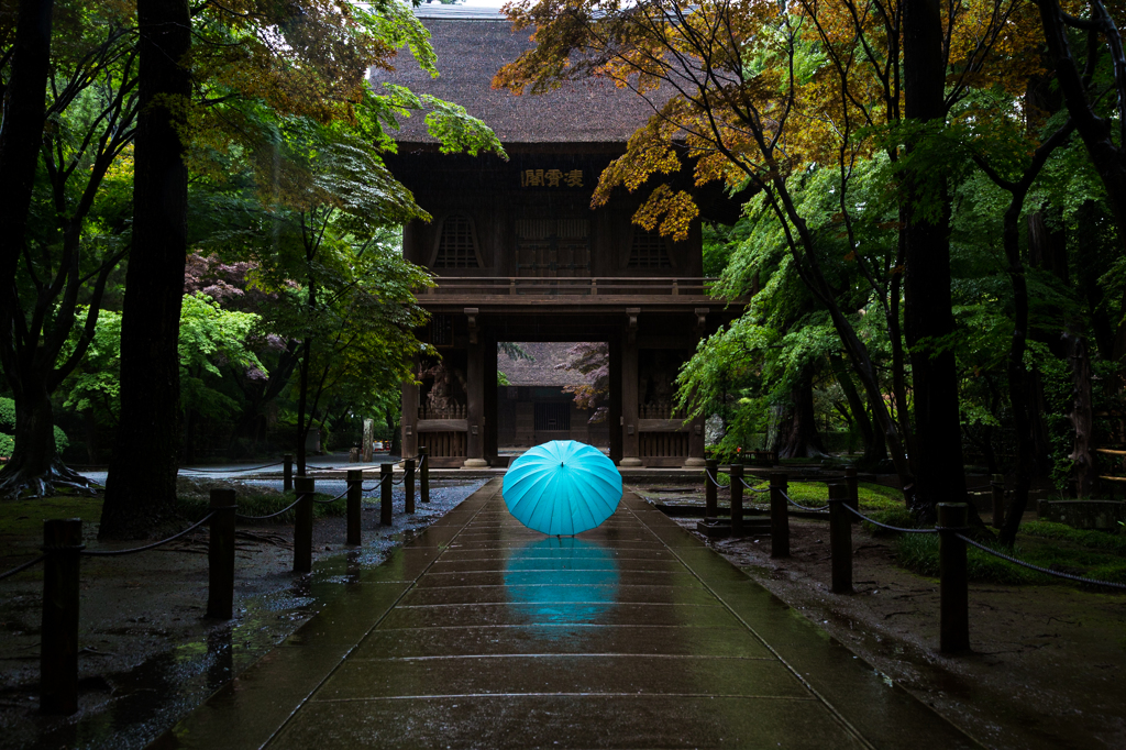 梅雨の時間