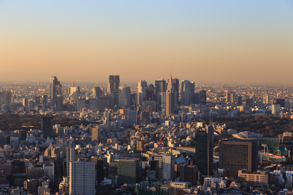 Mainstay of Tokyo