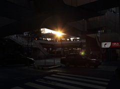 Shine In The Dark