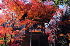 平林寺の秋模様