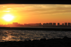 太陽と海と東京砂漠