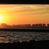 太陽と海と東京砂漠