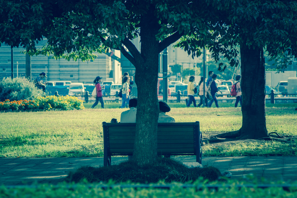 Under the Tree...