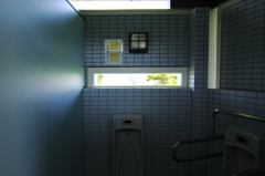 ぼくの秘密基地