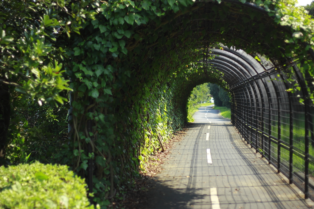 ぼくの秘密基地