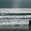 Shine Surf
