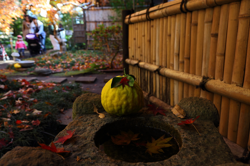 平林寺の秋模様