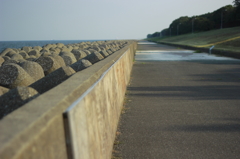 ぼくの秘密基地