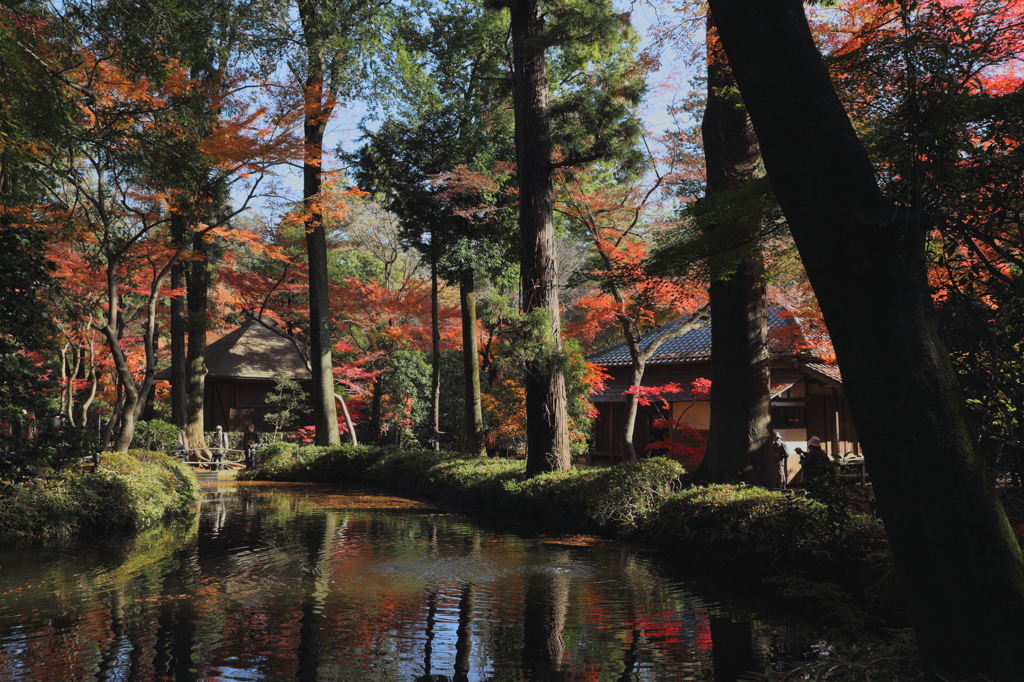 平林寺の秋模様