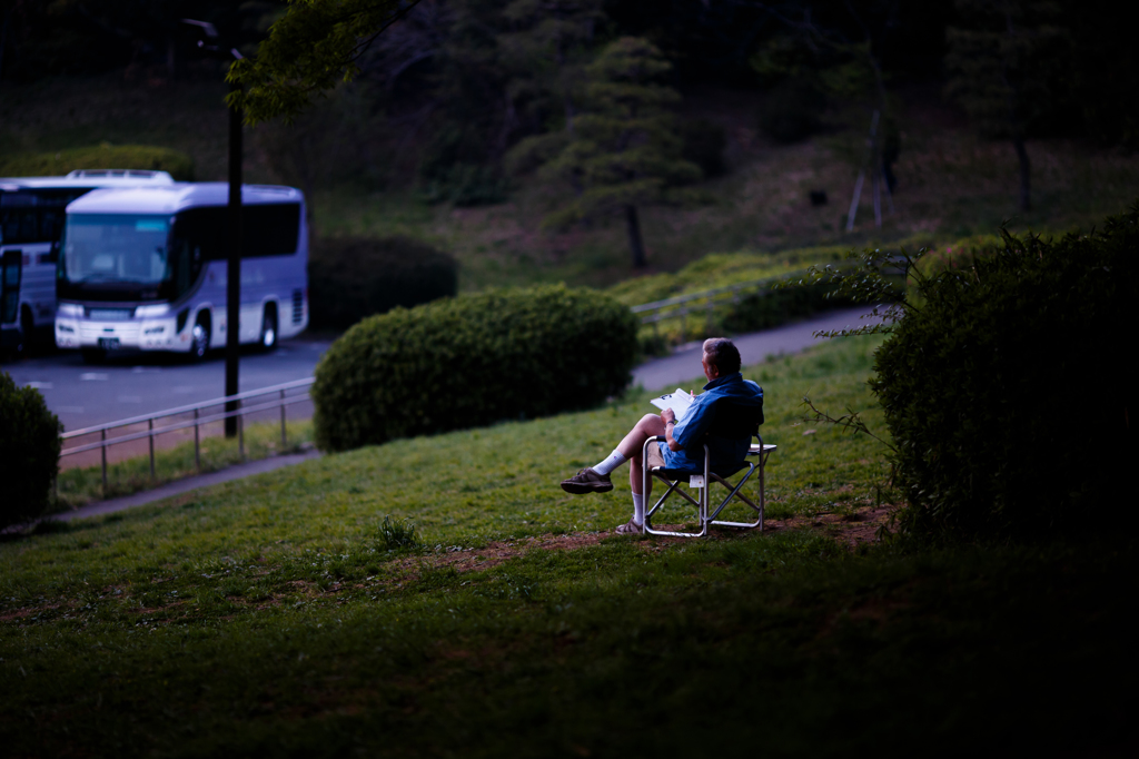 in the park