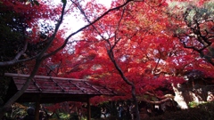 厭離庵