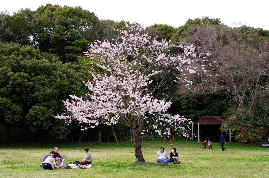 憩い。