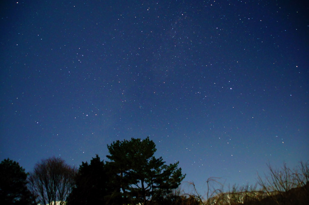 白川郷から星空