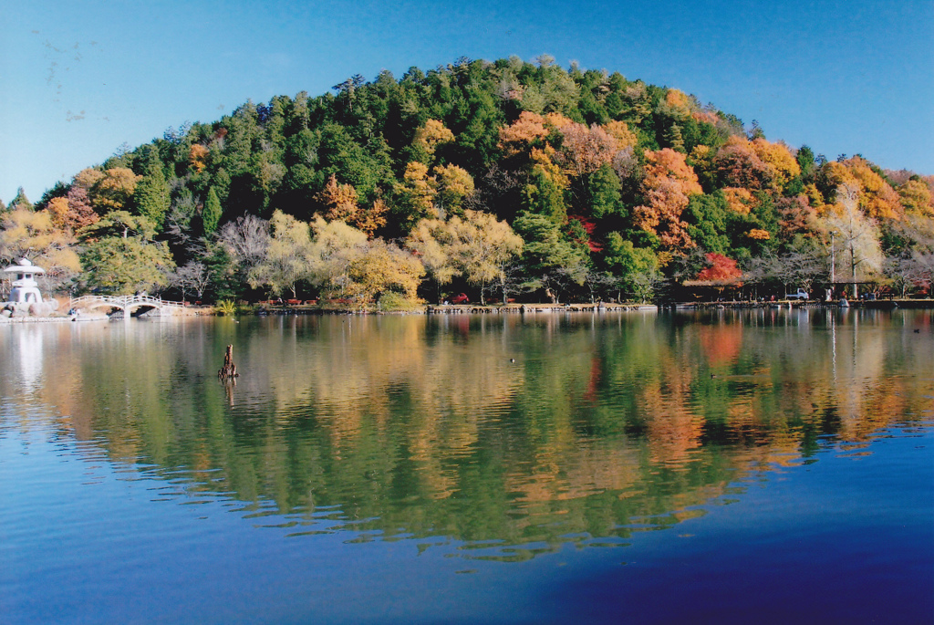 三島池の紅葉