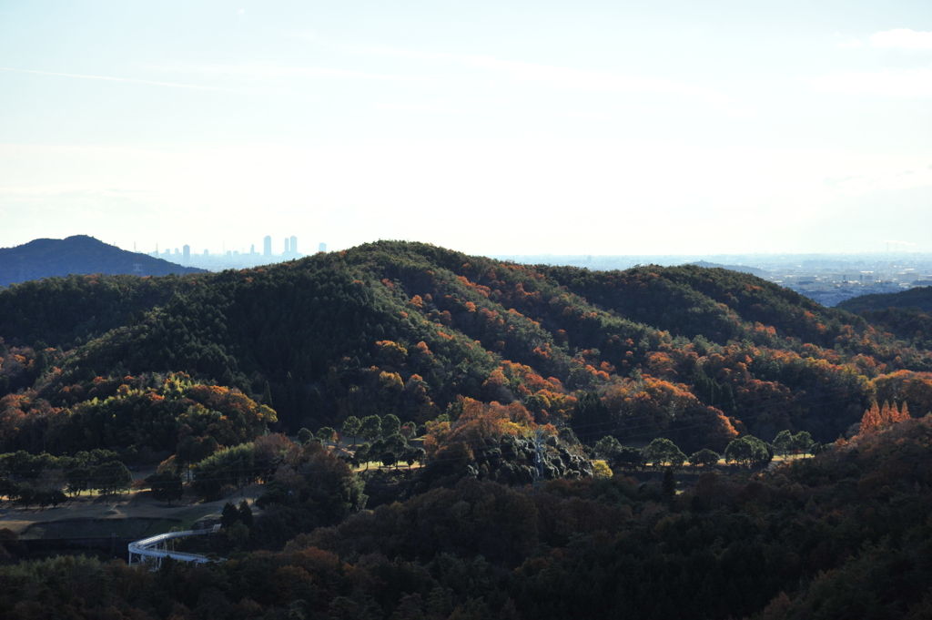 里山の紅葉