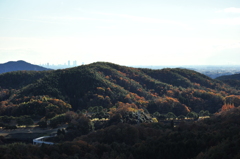 里山の紅葉