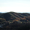 里山の紅葉