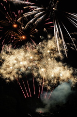花火‐2015年5月‐花フェスタ記念公園