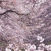 花嵐