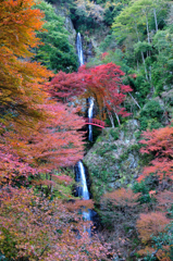 錦秋の滝