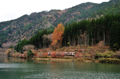 晩秋の高山本線 Ⅰ