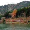 晩秋の高山本線 Ⅰ