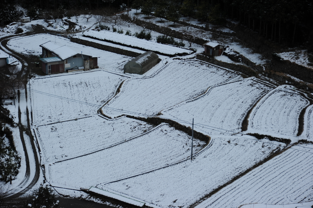 雪の幾何学
