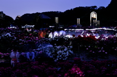 可児花フェスタ記念公園 ナイトローズガーデン