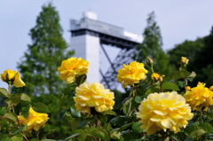 黄色いバラと花のタワー