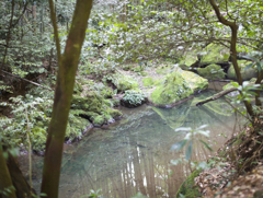 慈眼寺